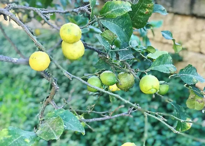 Ta Randu With Stunning Pool